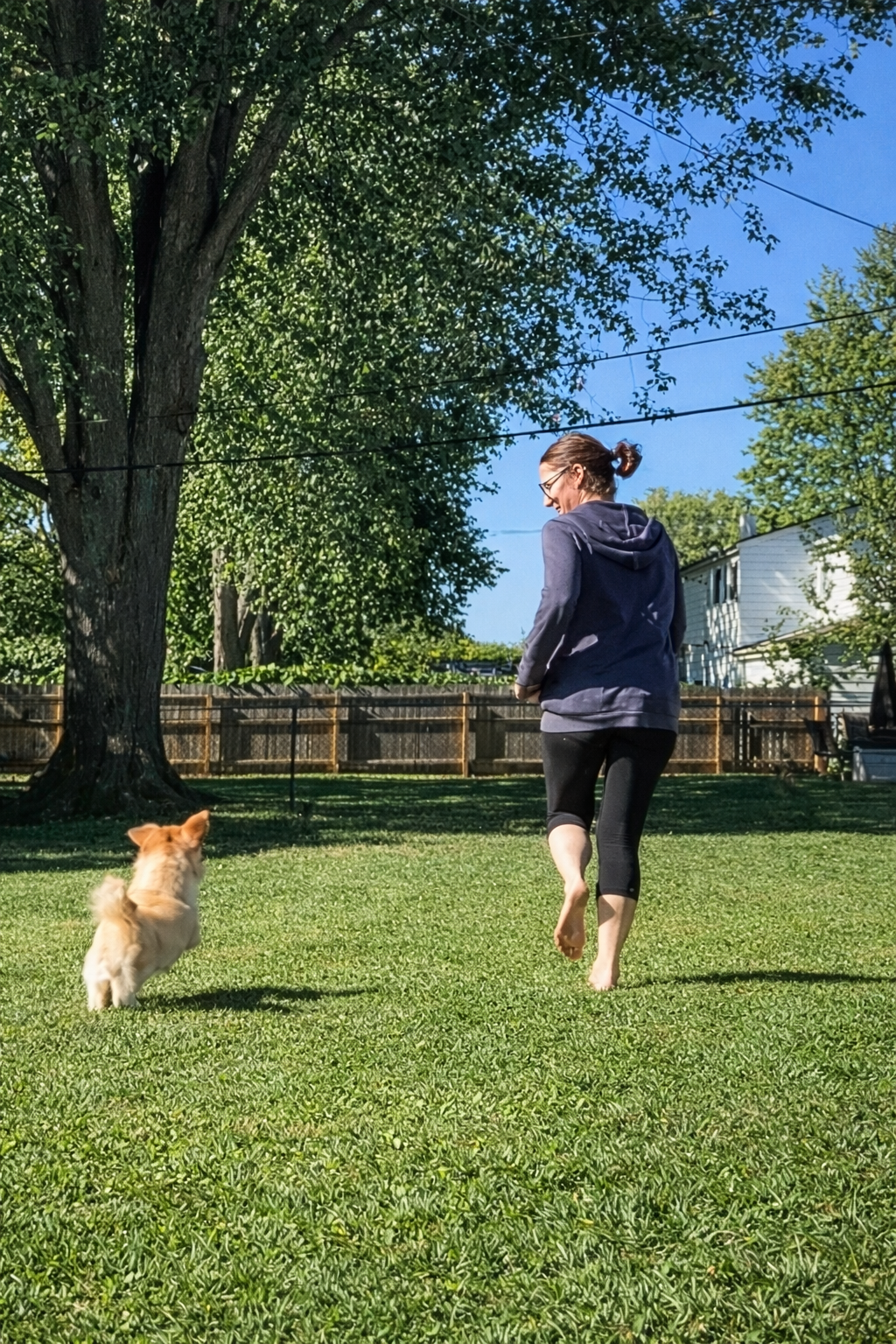 Web Bio SCROLL pic 3