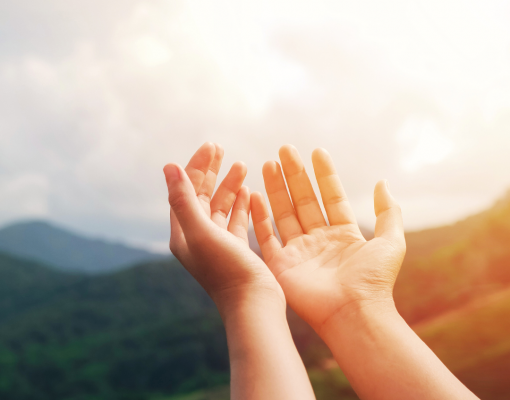 hands website hands website